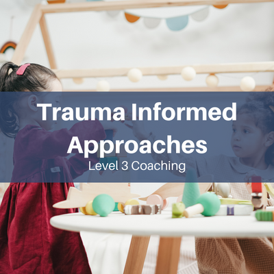 T3: Trauma Informed Approaches